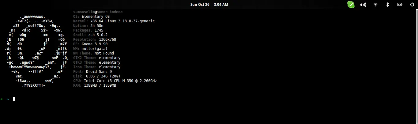 Terminal with Guake, oh-my-zsh and screenFetch
