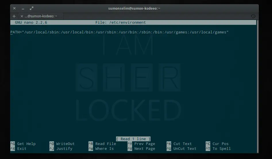 /etc/environment file